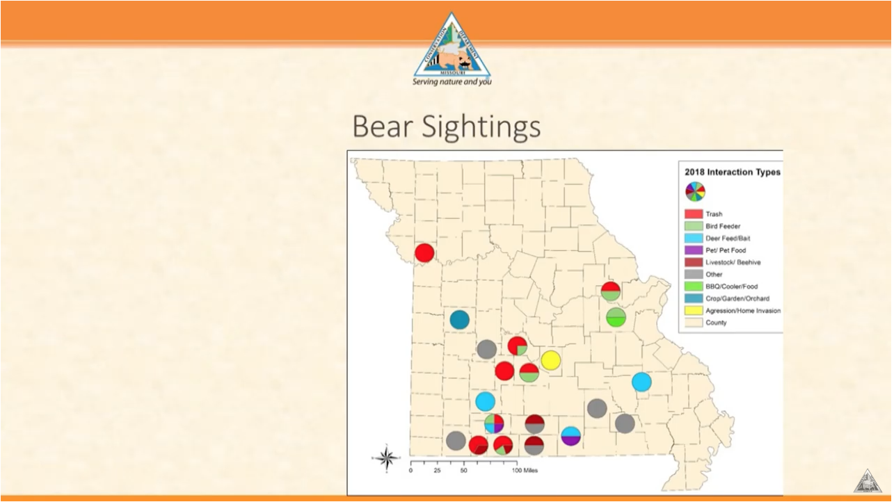 Missouri Black Bear Interactions